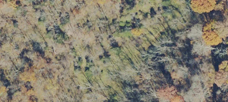 Farm Property with Creek and Dwellings