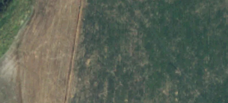 Unimproved Land