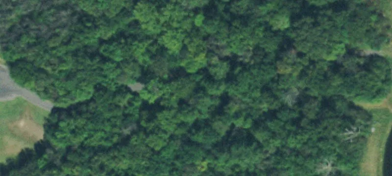 Unimproved Land