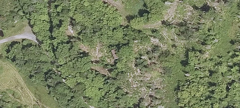 Wooded Recreation Land with Camp