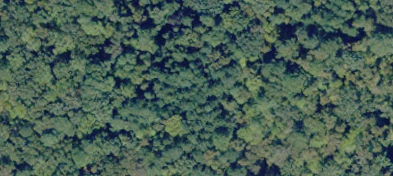 Land With Road Frontage