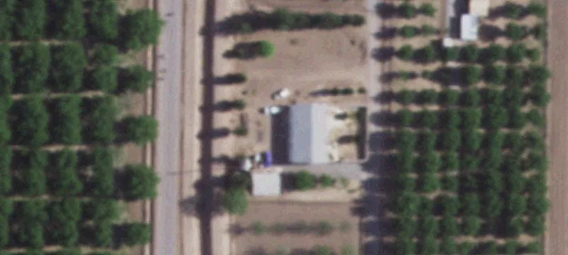 Pecan Orchard Agricultural Land