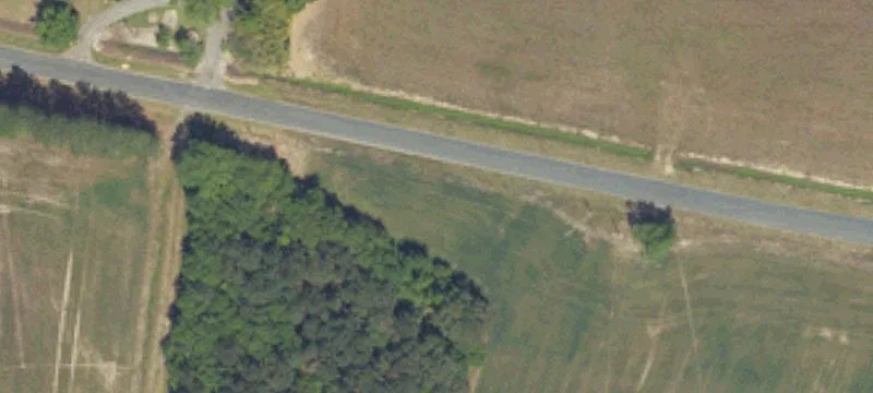 Farmland with Mature Woods