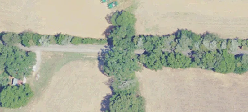 Poultry Farm with Breeder Houses