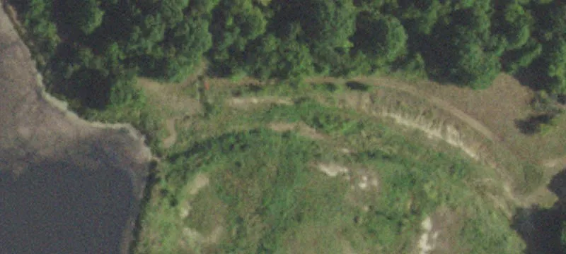 Wooded Agricultural Acreage