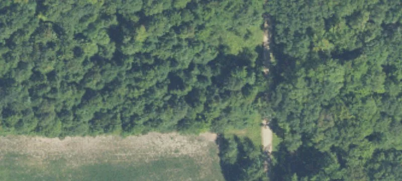 Unimproved Land