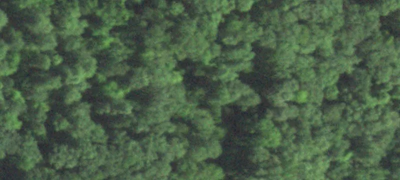 Hunting Land with Cabin