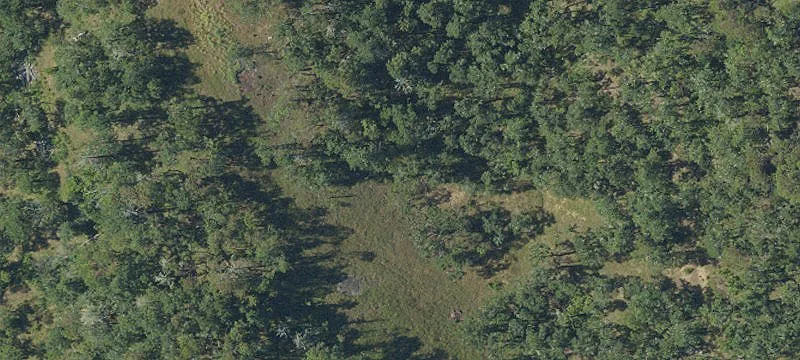 Land