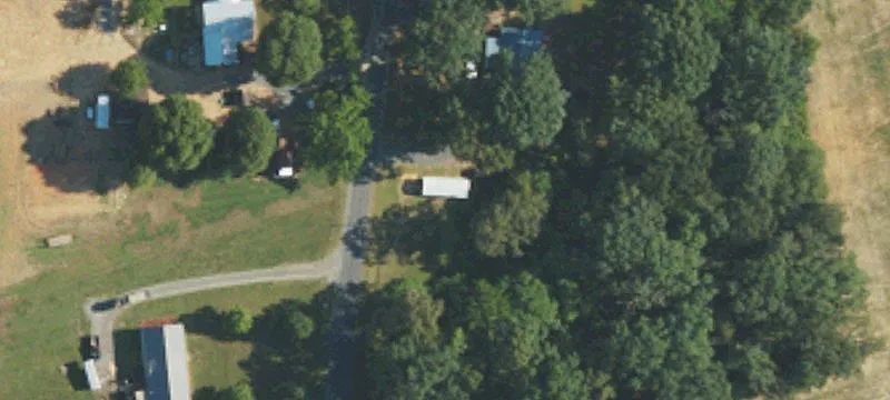 Agricultural Land with Timber