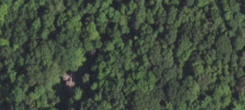 Wooded Acreage Duplex