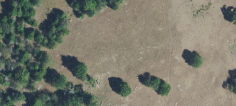Ranch with Stocked Ponds