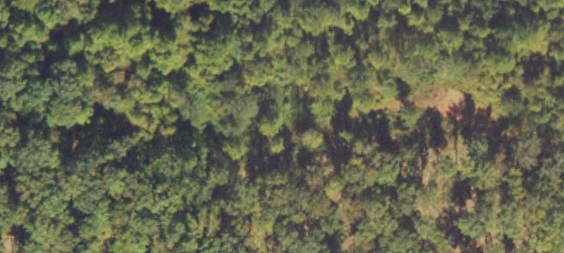 Agricultural Land