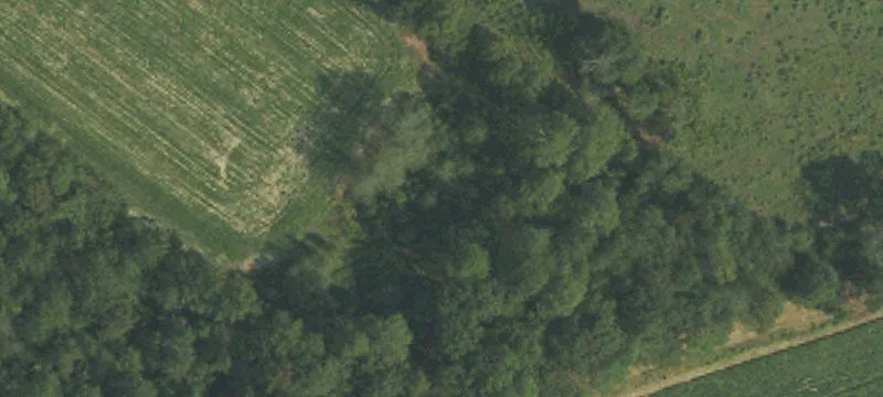 Land or Vacant Lot