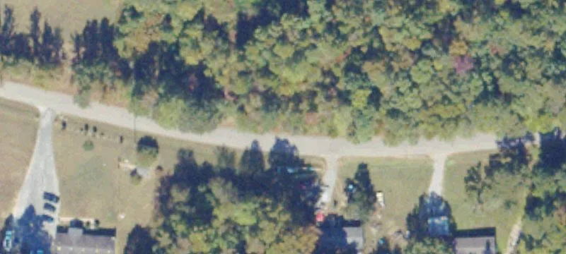 Agricultural Land with Timber
