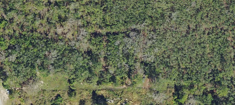 Agricultural Land with Existing Improvements