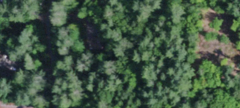 Waterfront Land with Beach Rights