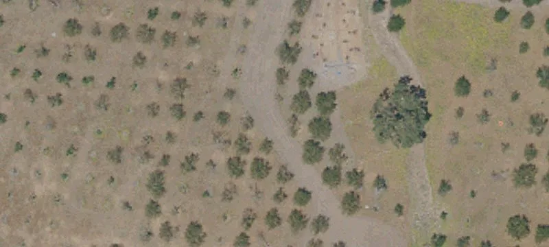Apple Orchard Farm With Multiple Residences