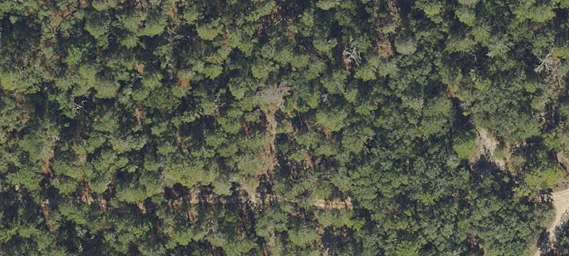 2710 HILLERY Street, Inverness, FL 34452