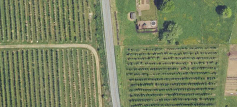 Grocery Market with Cold Storage