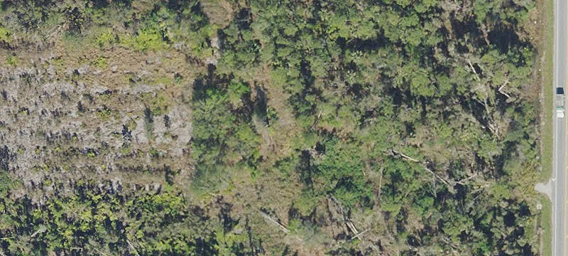 Land