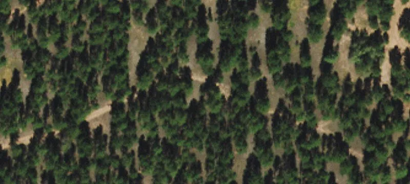 Lots/Land