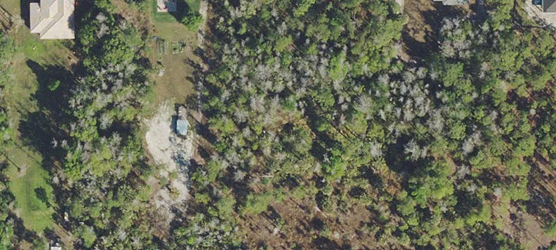 Commercial Land