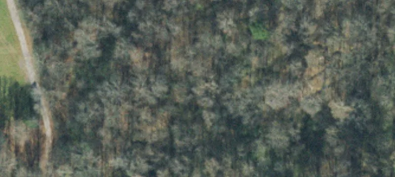 Land or Vacant Lot