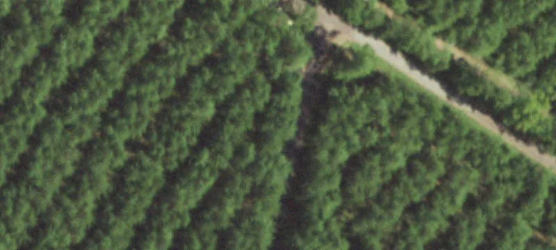 Ranch with 2023-Built Home