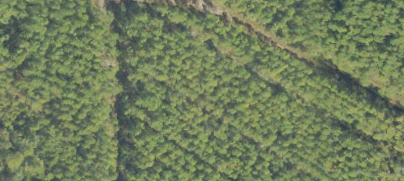 Unimproved Land