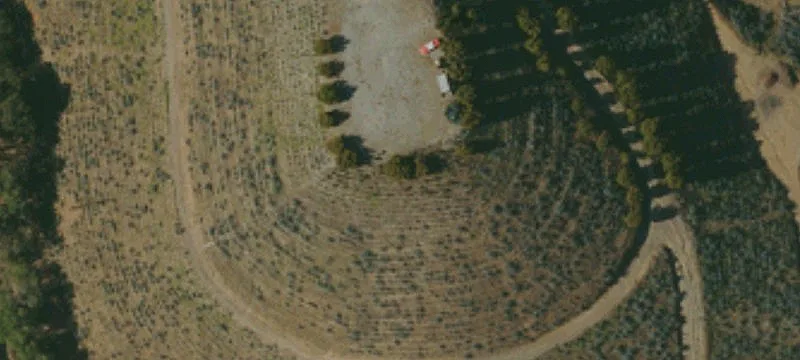 Agricultural Land with Mature Trees