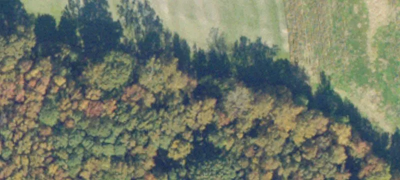 Unimproved Land