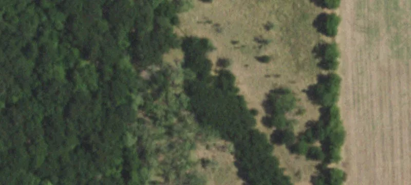 Land with Two Ponds