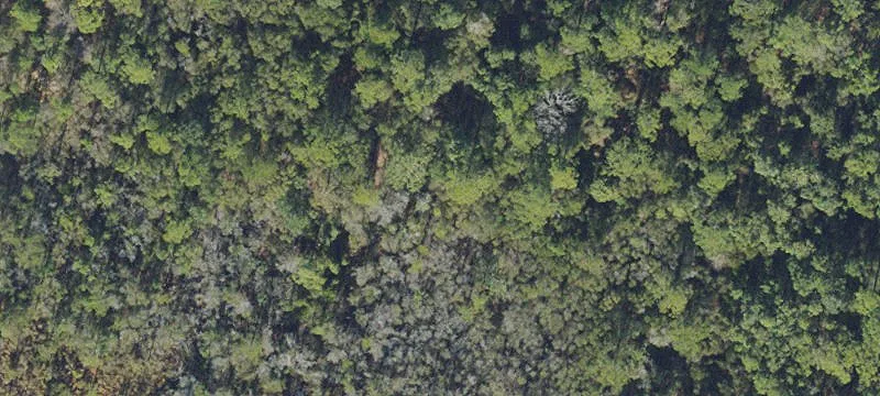 Commercial Land With Development Order
