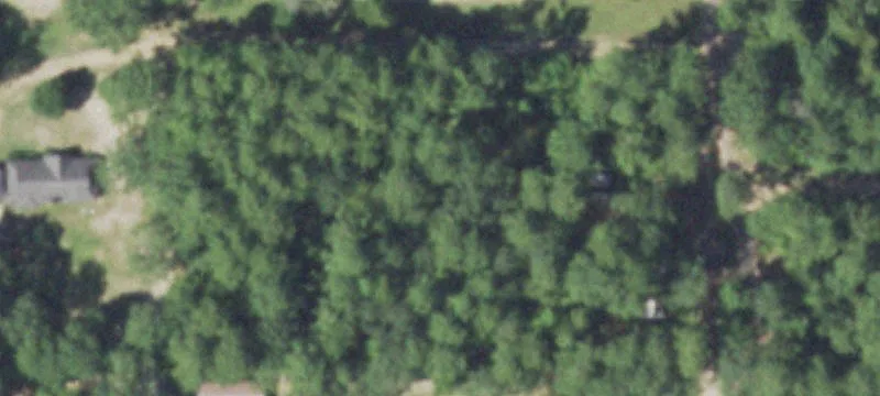 Ranch Property with Cabin