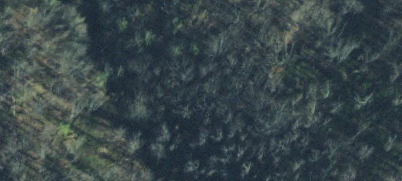 Commercial Land with Driveway