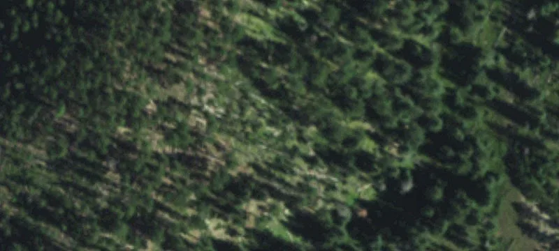 Mountain Short-Term Rental Cabin