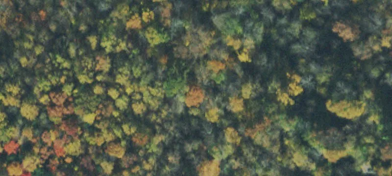 Land Property