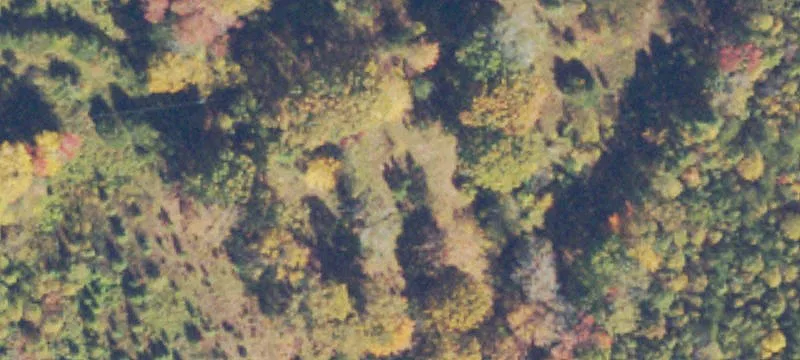 Unimproved Land