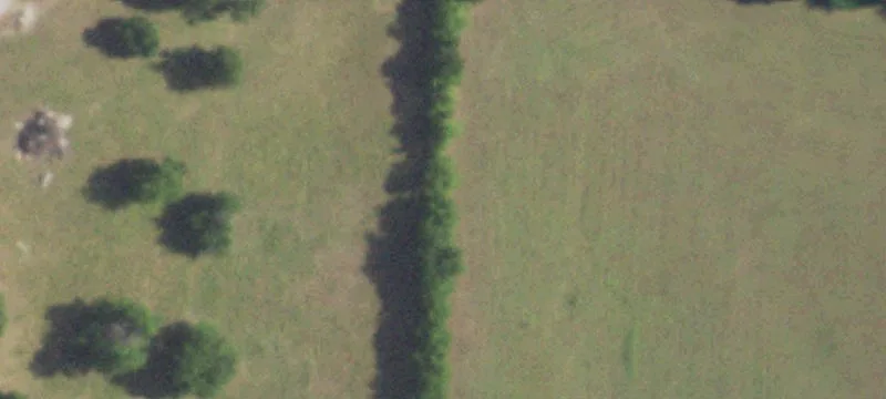 Fenced Agricultural Land with Pond