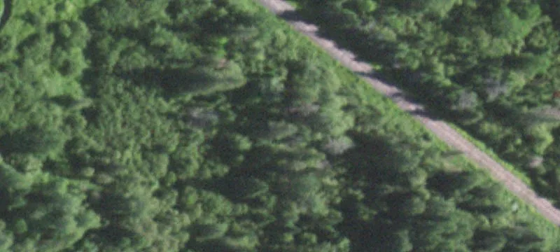 Wooded Hunting Land With Cabin