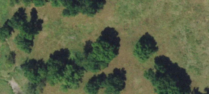 Working Ranch with Ponds
