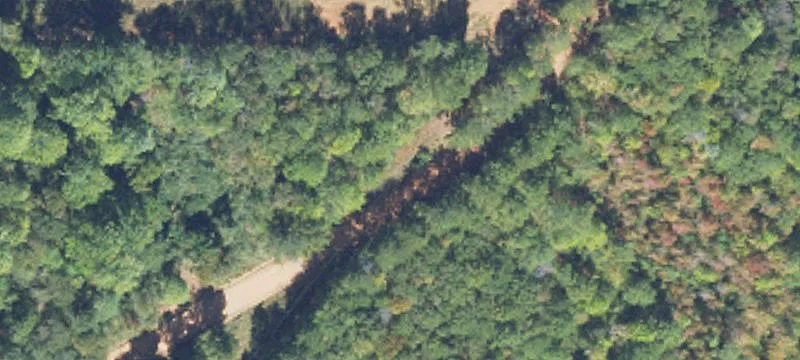 Mature Timber Hunting Land