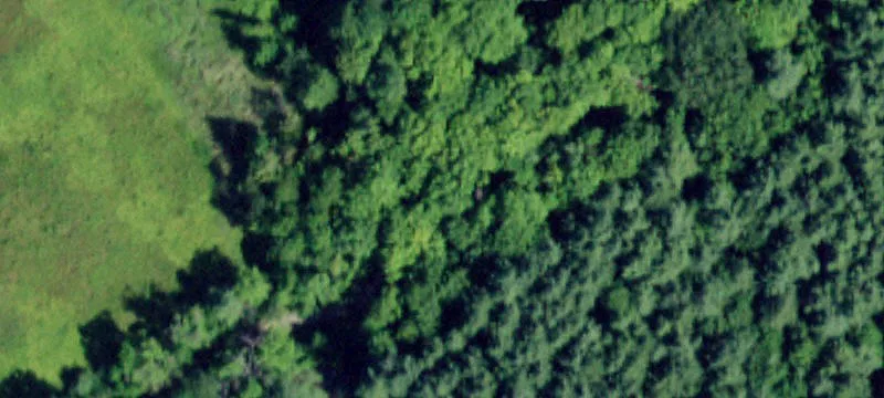 Road-Frontage Land