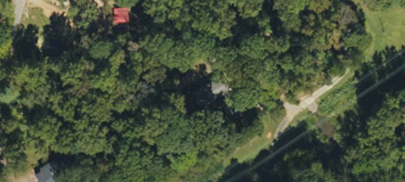 Wooded Land