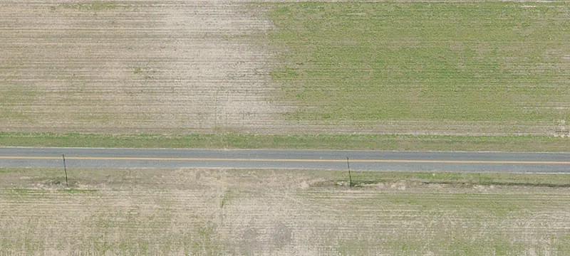 Land or Vacant Lot