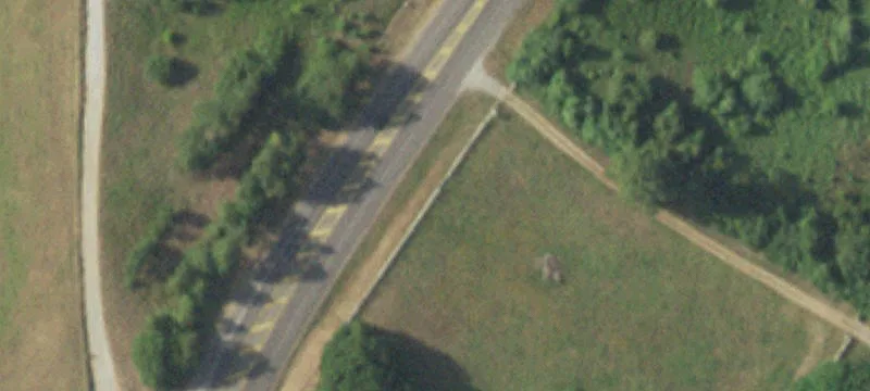 Fenced Commercial Land