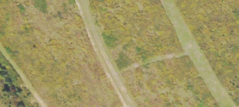 Agricultural Land with Pond