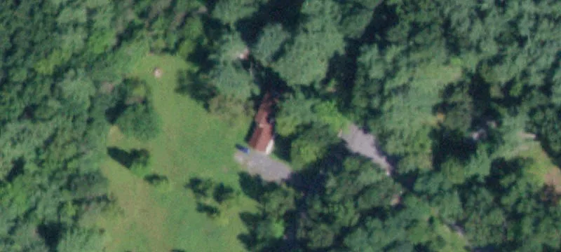Wooded Land Parcel