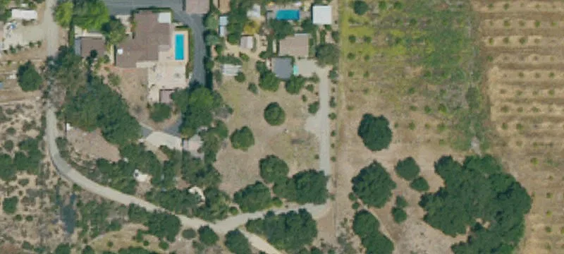 Lemon Orchard Farm