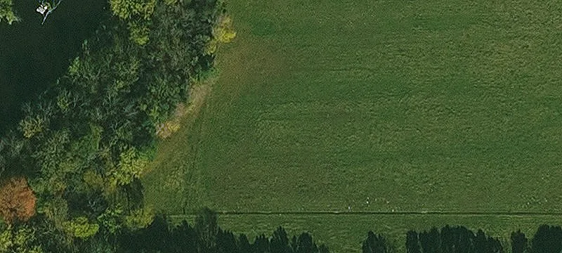 Waterfront Farm With Cattle Shed